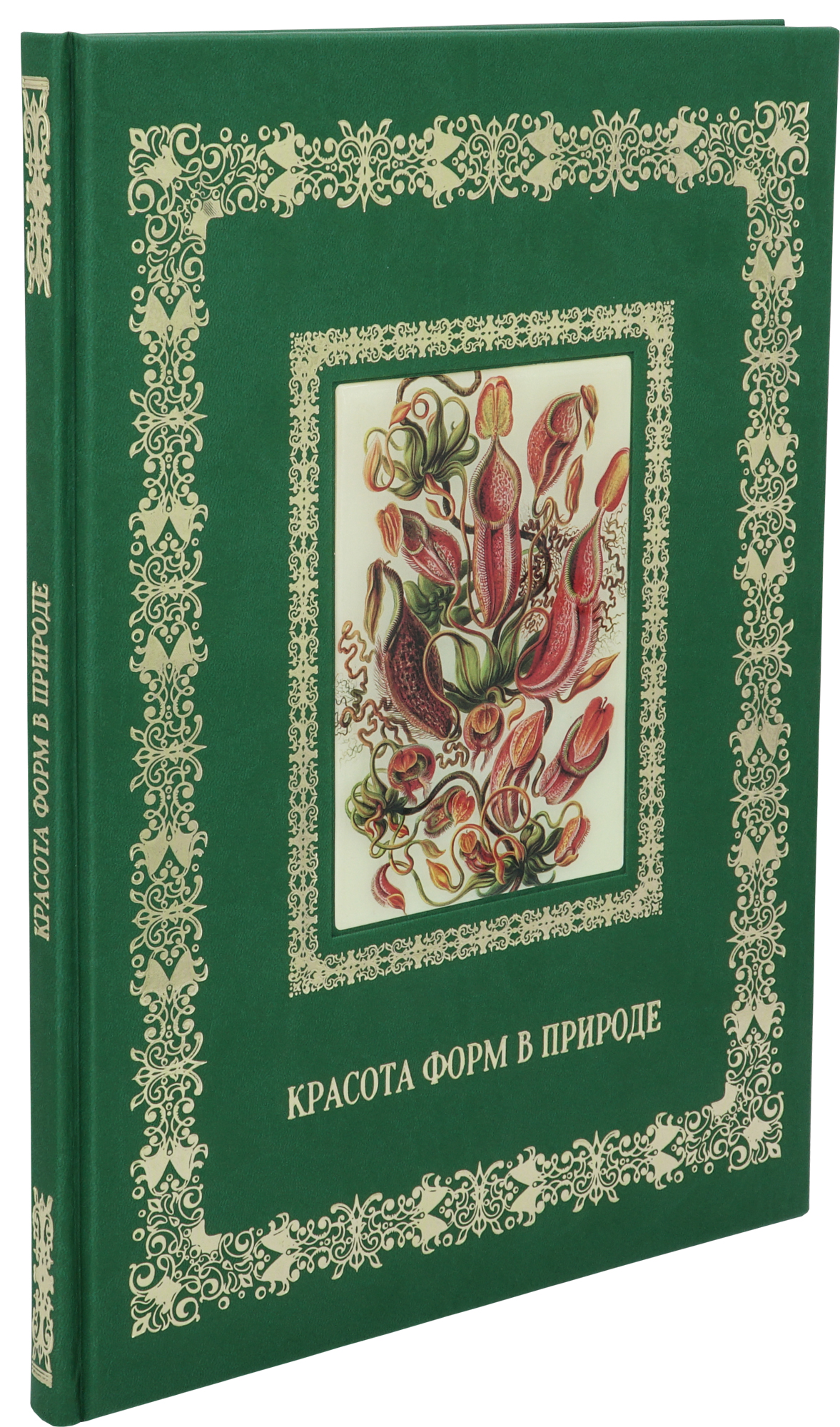 Астахов Андрей Юрьевич , Книга в подарок «Красота форм в природе. Иллюстрации Э. Геккель»