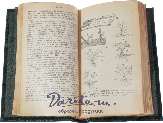 Антикварная книга «Справочная садовая книга»