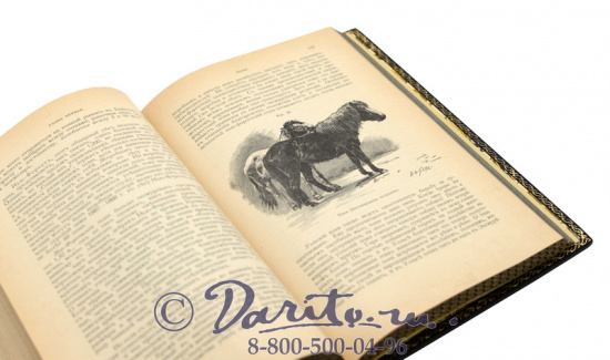 Издание «Книга о лошади»