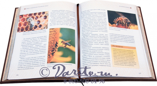 Книга «Энциклопедия пчеловодства»