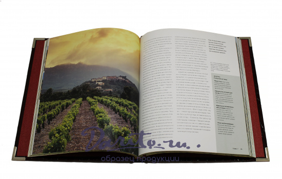 Подарочная книга «Вино»