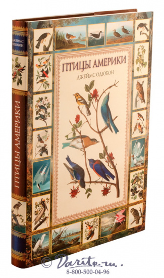 Книга «Птицы Америки»