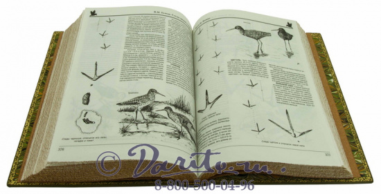 Книга «Следы зверей и птиц»
