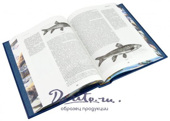 Сабанеев Л. П. , Книга «Жизнь и ловля пресноводных рыб»