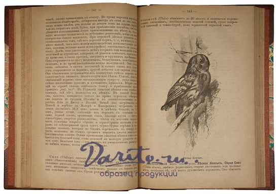 Антикварное издание «Звери, птицы и насекомые Средней Европы. Их жизнь и нравы»