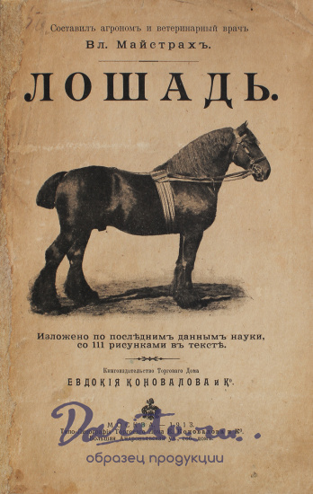 Антикварная книга «Лошадь»