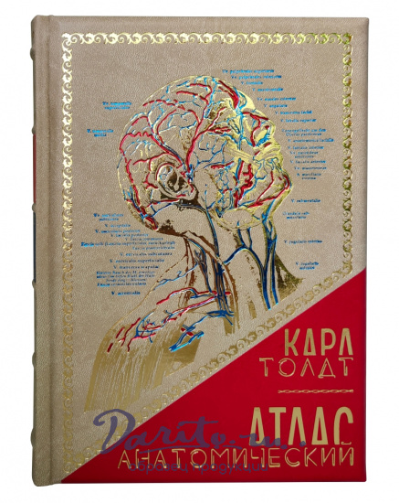 Подарочное издание «Анатомический атлас»