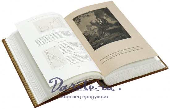 Подарочная книга «Математические начала натуральной философии»