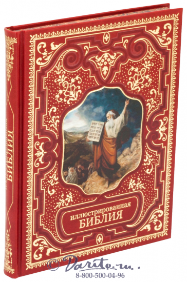 Бутромеев Владимир Петрович , Книга «Иллюстрированная Библия»