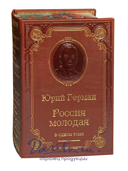 Книга «Россия молодая»