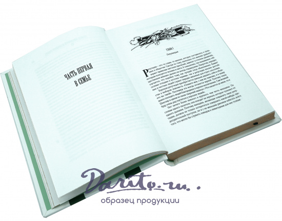 Книга «Правила вежливости и светского этикета»