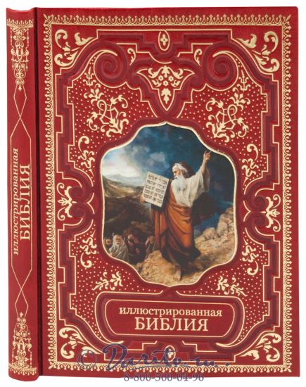 Бутромеев Владимир Петрович , Книга «Иллюстрированная Библия»