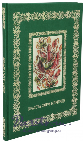 Астахов Андрей Юрьевич , Книга в подарок «Красота форм в природе. Иллюстрации Э. Геккель»