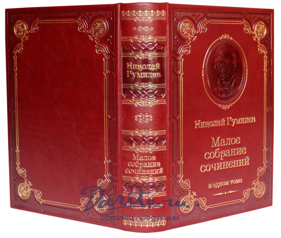 Книга Николай Гумилев «Малое собрание сочинений»