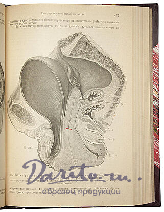 Антикварная книга «Руководство по гинекологии: для врачей и учащихся»