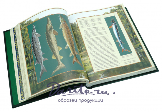 Эксклюзивное издание «Русская рыбалка»